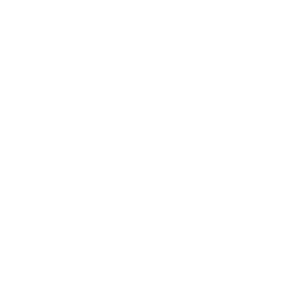 EVE Car