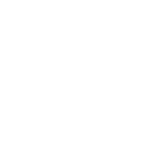 FlyDrive